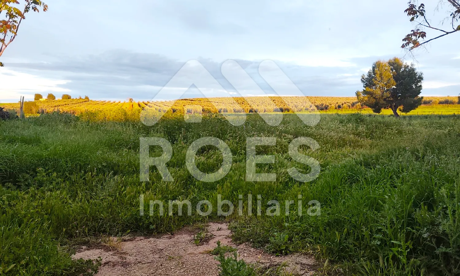 Ref0056-Roes-CasaRústicaS.Yeguas#10