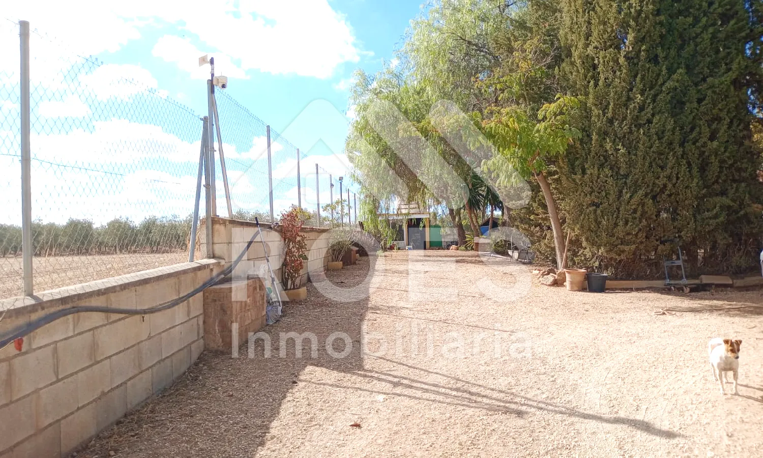 Ref0056-Roes-CasaRústicaS.Yeguas#24