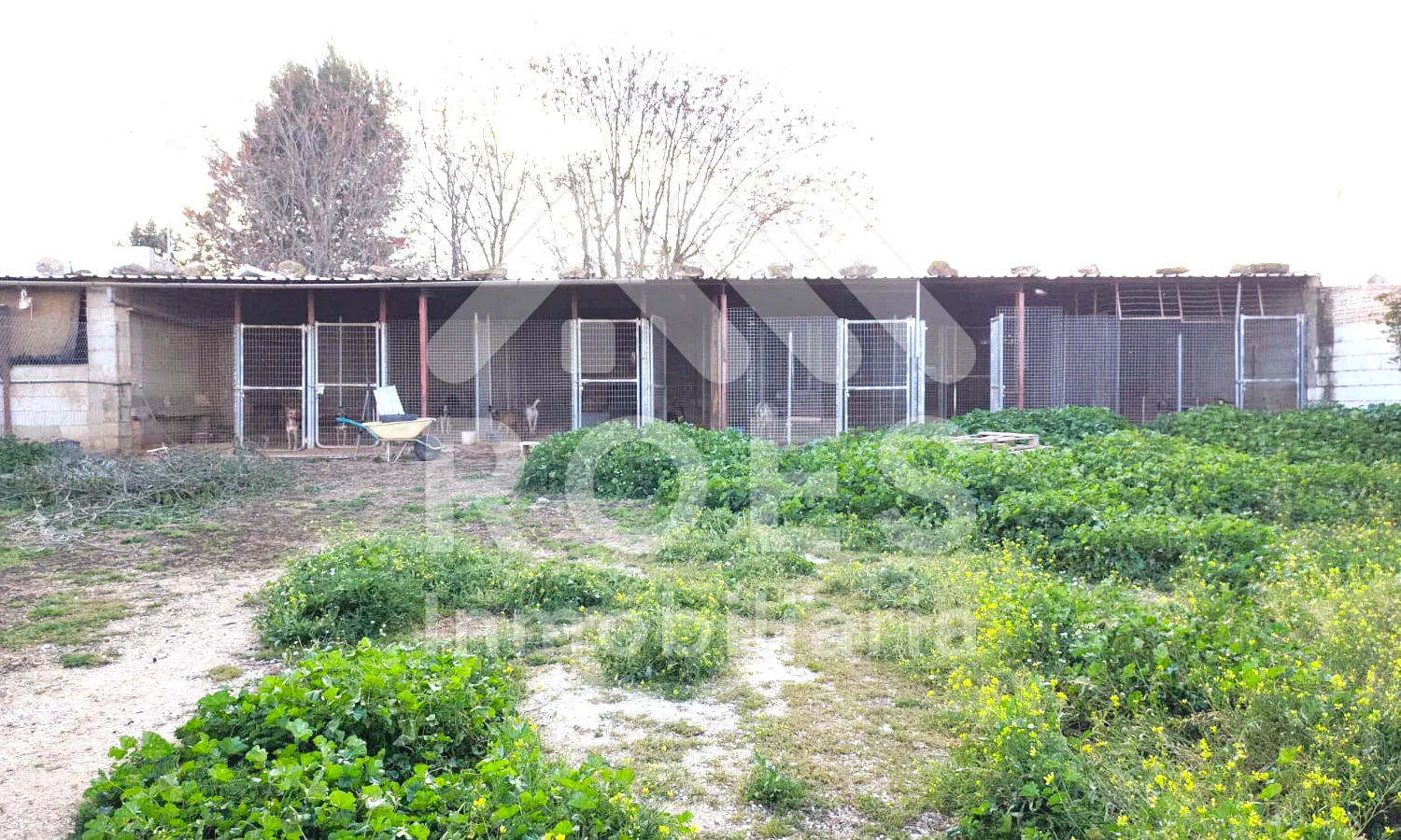 Ref0056-Roes-CasaRústicaS.Yeguas#26 (1)