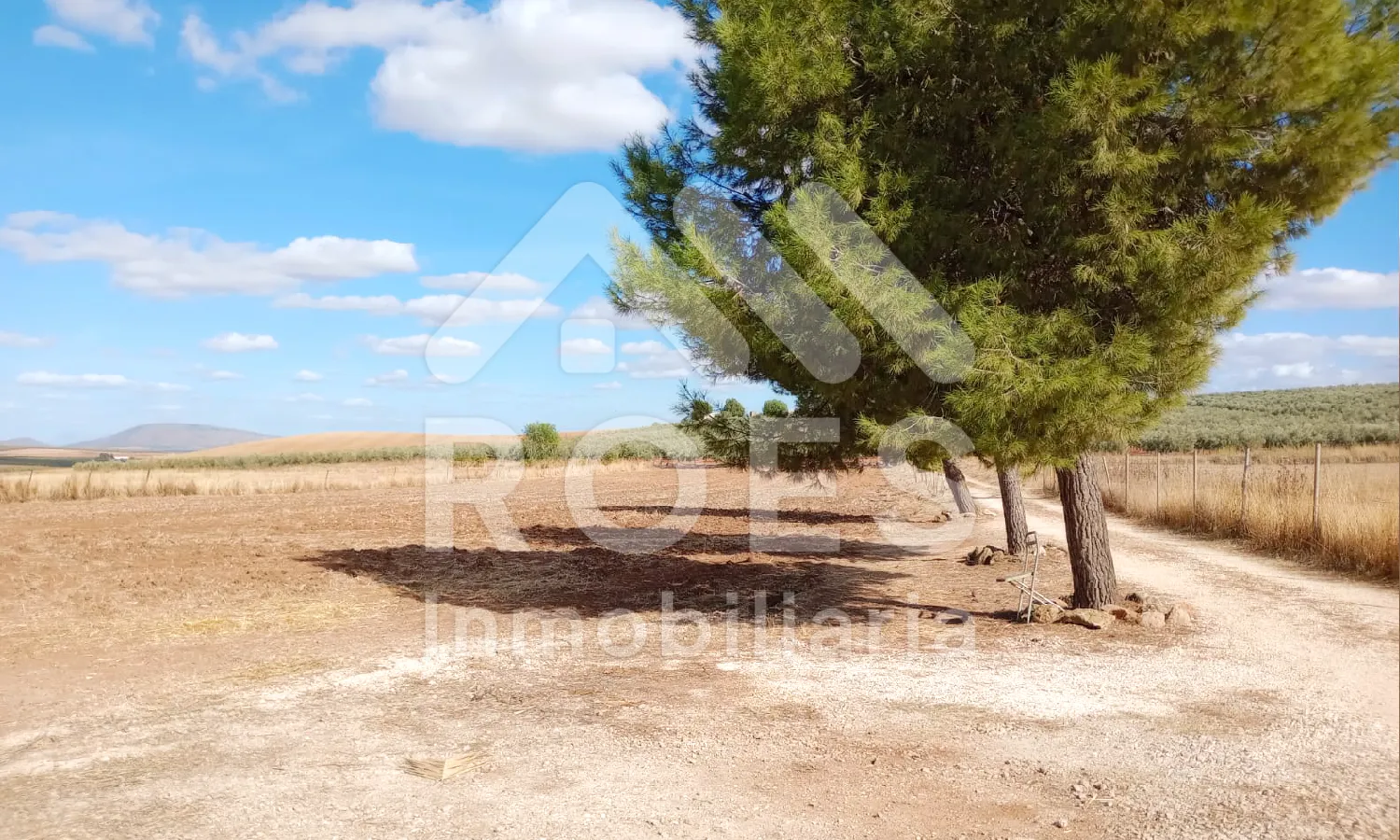 Ref0056-Roes-CasaRústicaS.Yeguas#31