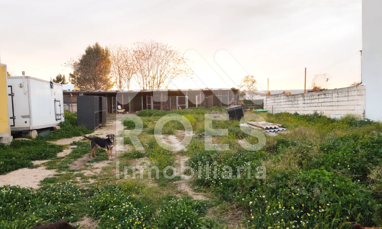 Ref0056-Roes-CasaRústicaS.Yeguas#9