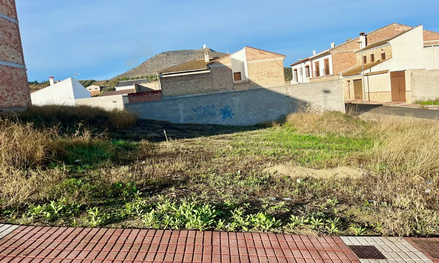 Ref38-Roes-solar-Alameda#1