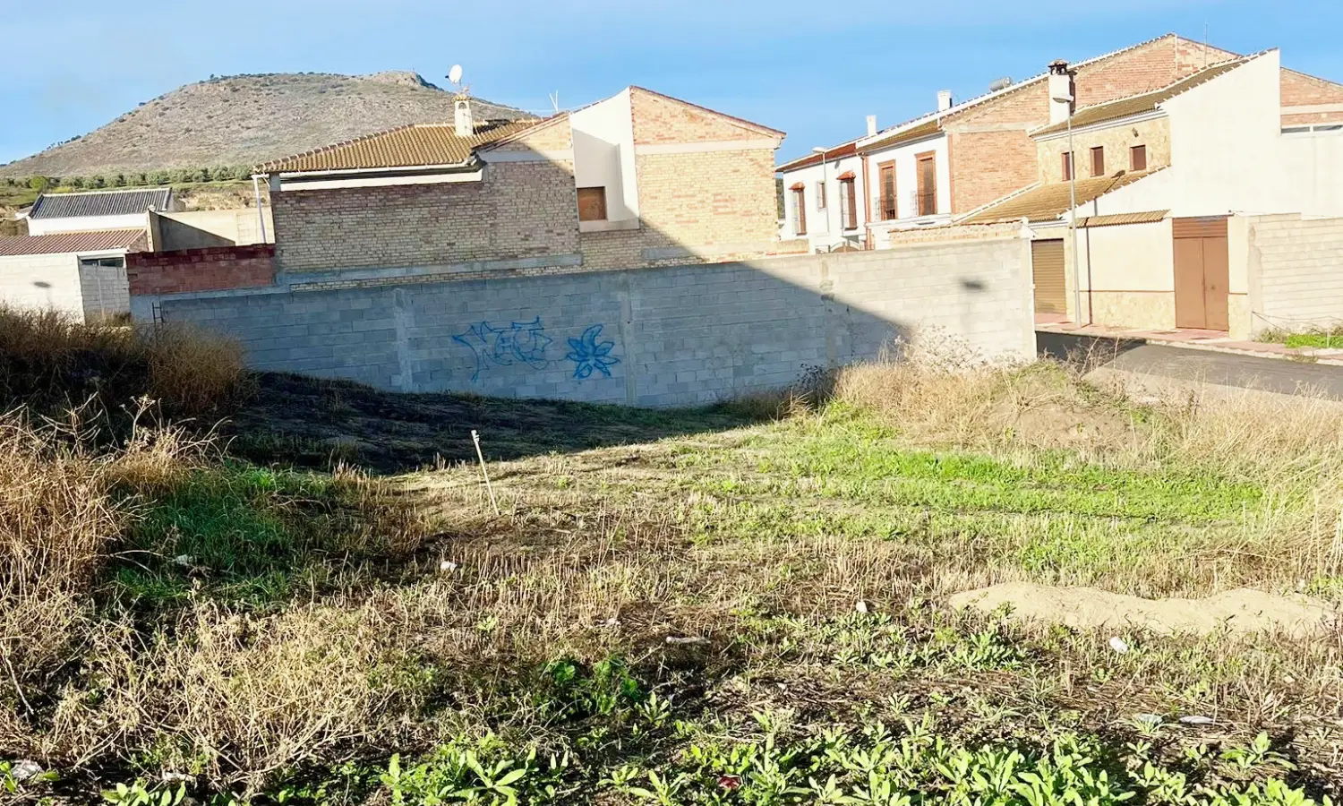 Ref38-Roes-solar-Alameda#2