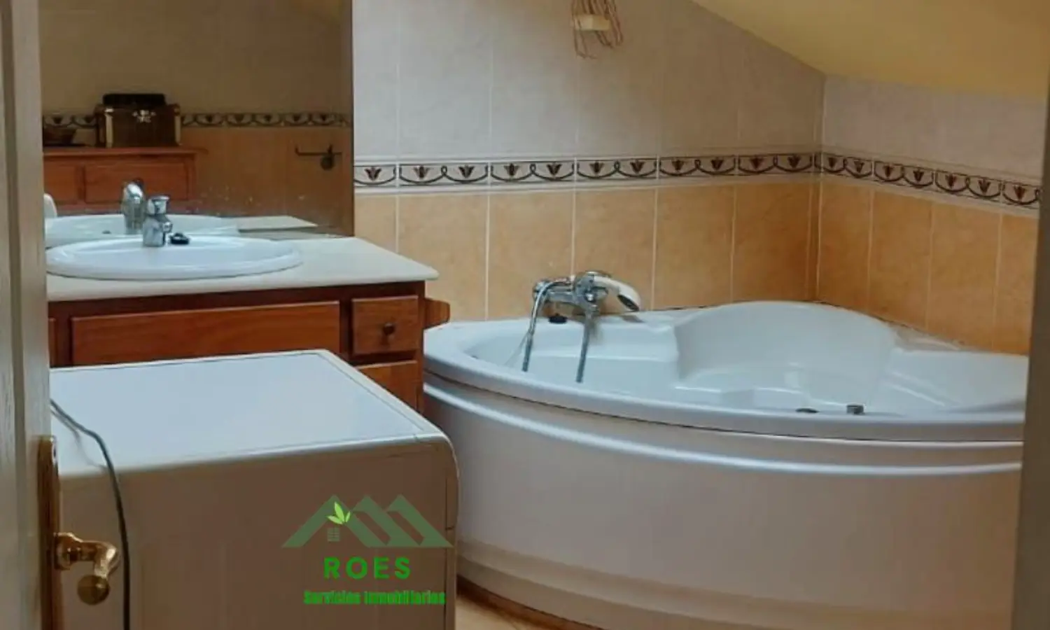 Ref41-Roes-duplex-Málaga#10