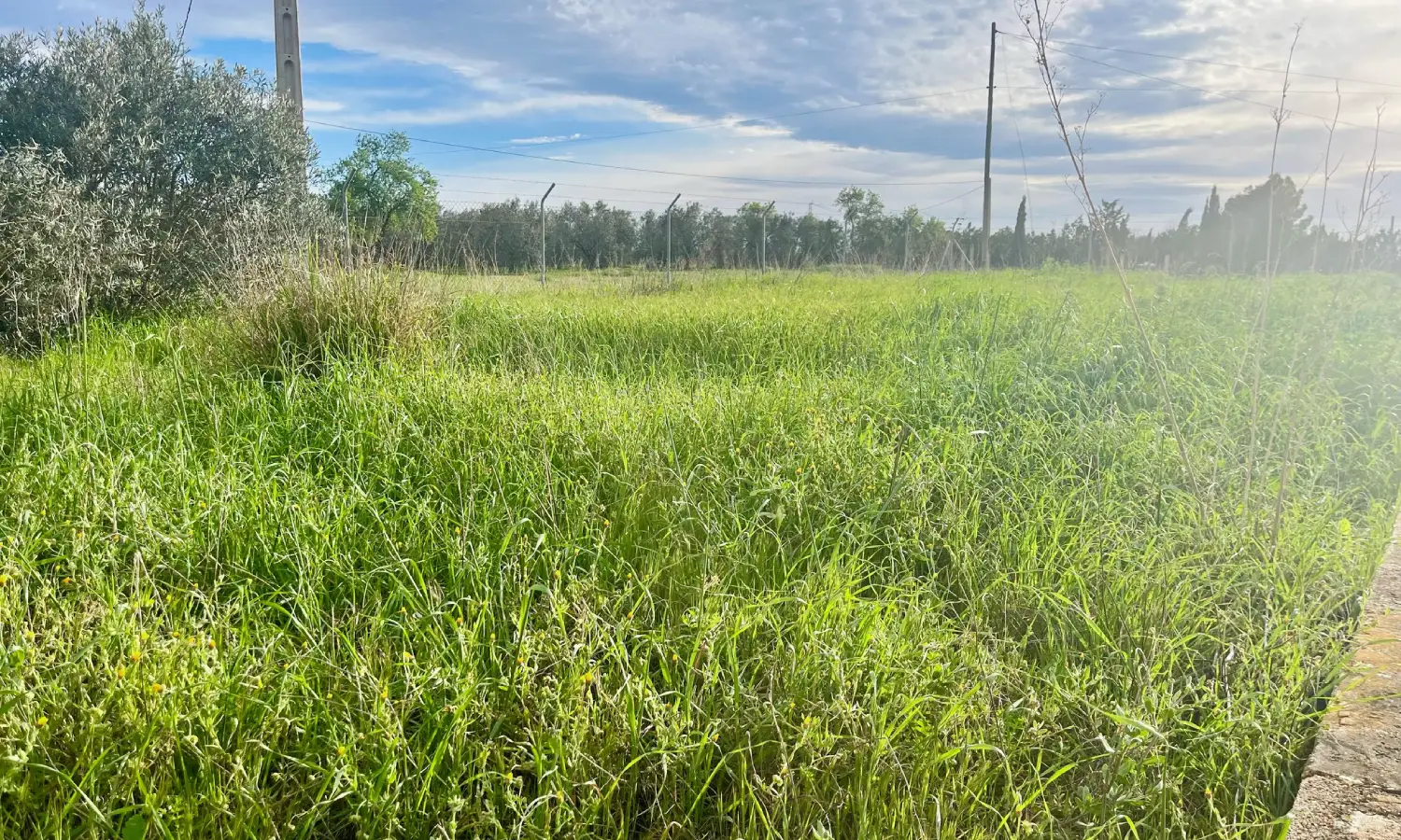 Ref46-Roes-casa-rústica-Santa-Ana#2