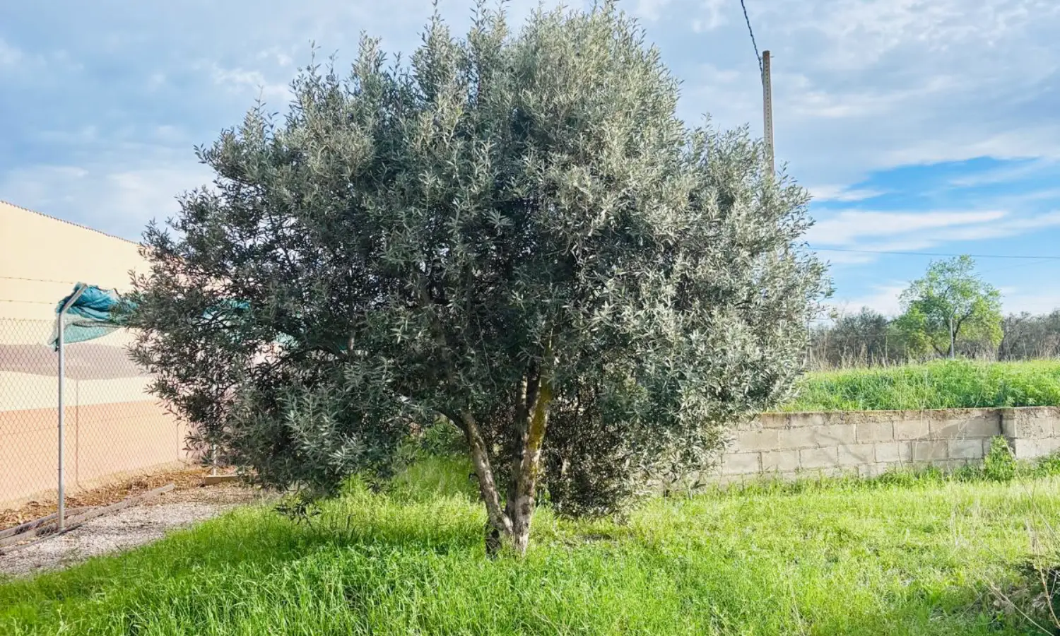 Ref46-Roes-casa-rústica-Santa-Ana#29