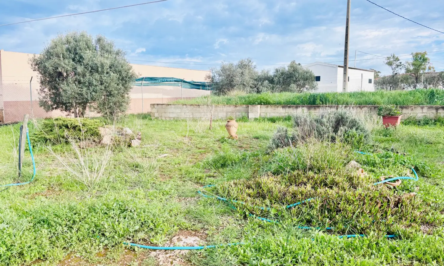 Ref46-Roes-casa-rústica-Santa-Ana#31