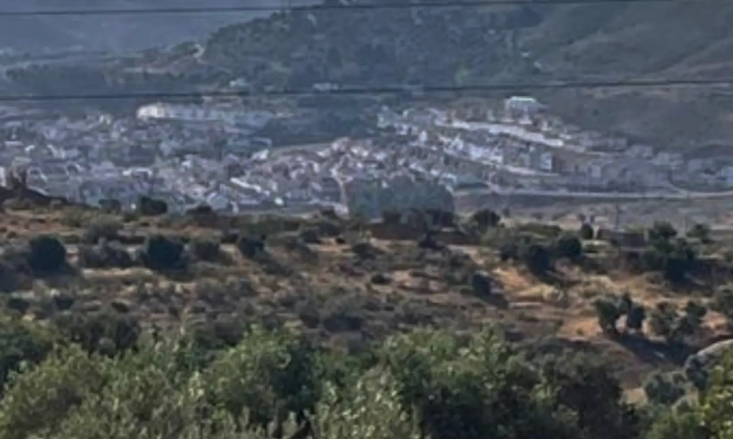 Ref51-Roes-terreroGandía-Antequera#7