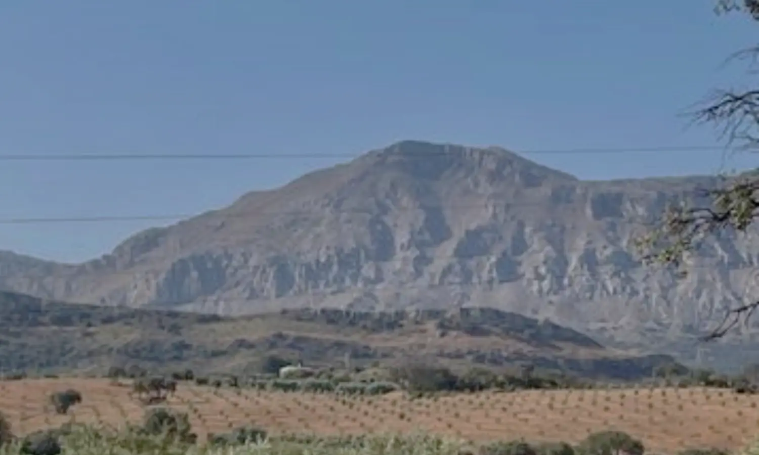 Ref51-Roes-terreroGandía-Antequera#8