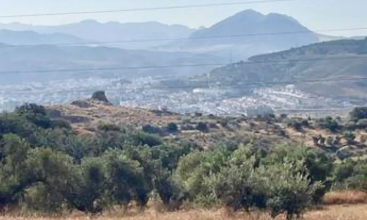 Ref51-Roes-terreroGandía-Antequera#9