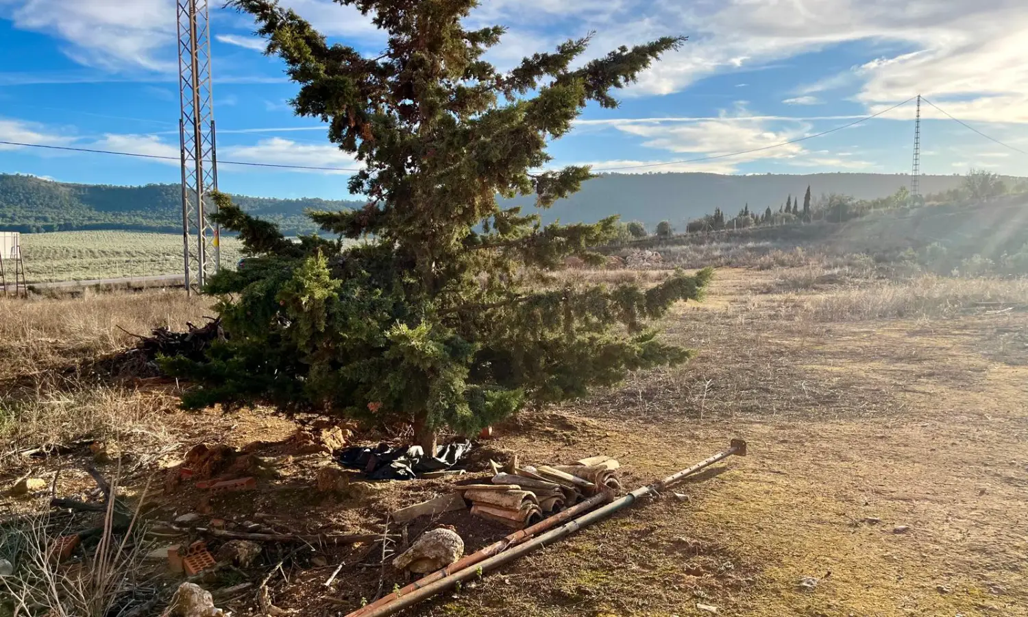 Ref023-Roes-Solar-Rústico-Mollina#2