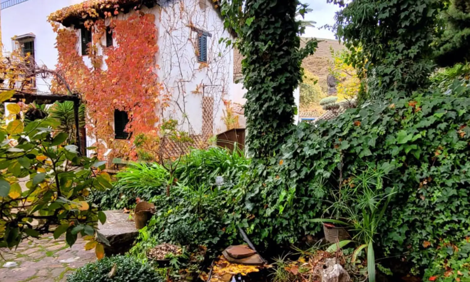 Ref031-Roes-cortijo-andaluz-Antequera#101