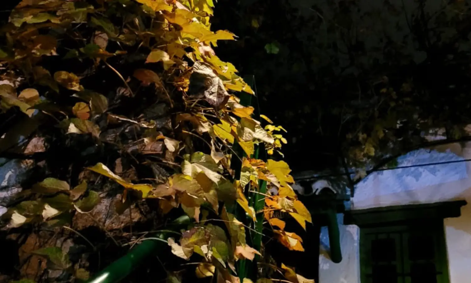 Ref031-Roes-cortijo-andaluz-Antequera#103