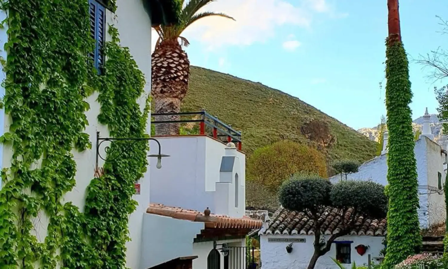 Ref031-Roes-cortijo-andaluz-Antequera#130