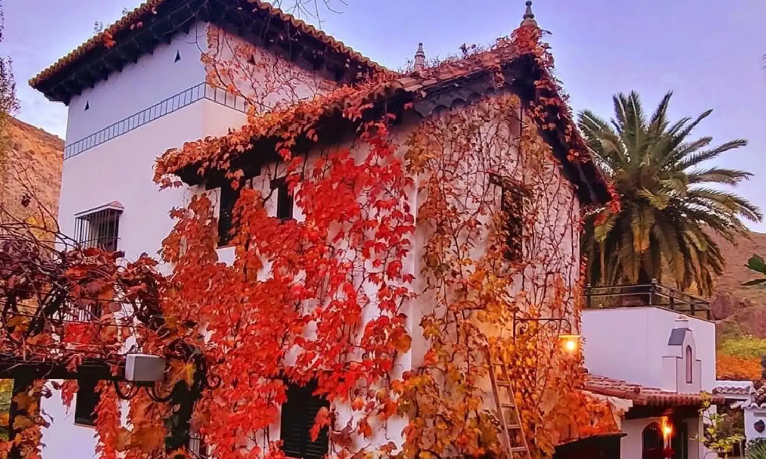 Ref031-Roes-cortijo-andaluz-Antequera#18