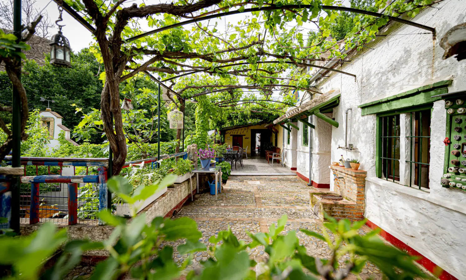 Ref031-Roes-cortijo-andaluz-Antequera#2