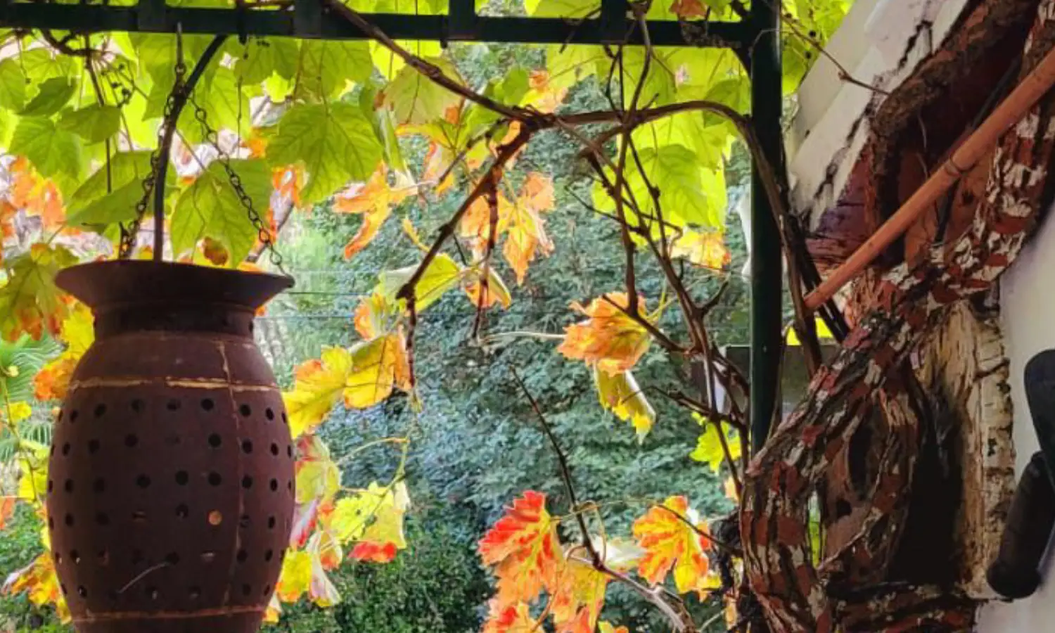 Ref031-Roes-cortijo-andaluz-Antequera#22