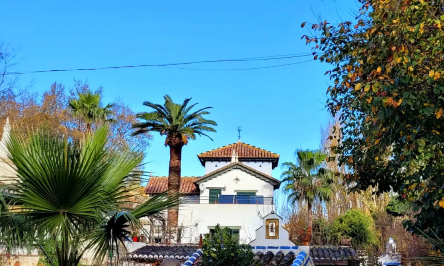 Ref031-Roes-cortijo-andaluz-Antequera#33