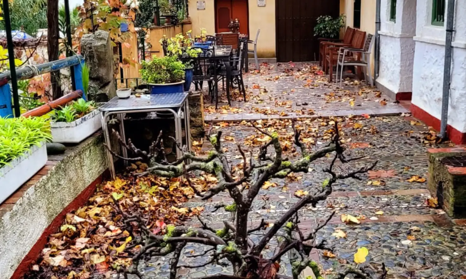 Ref031-Roes-cortijo-andaluz-Antequera#36