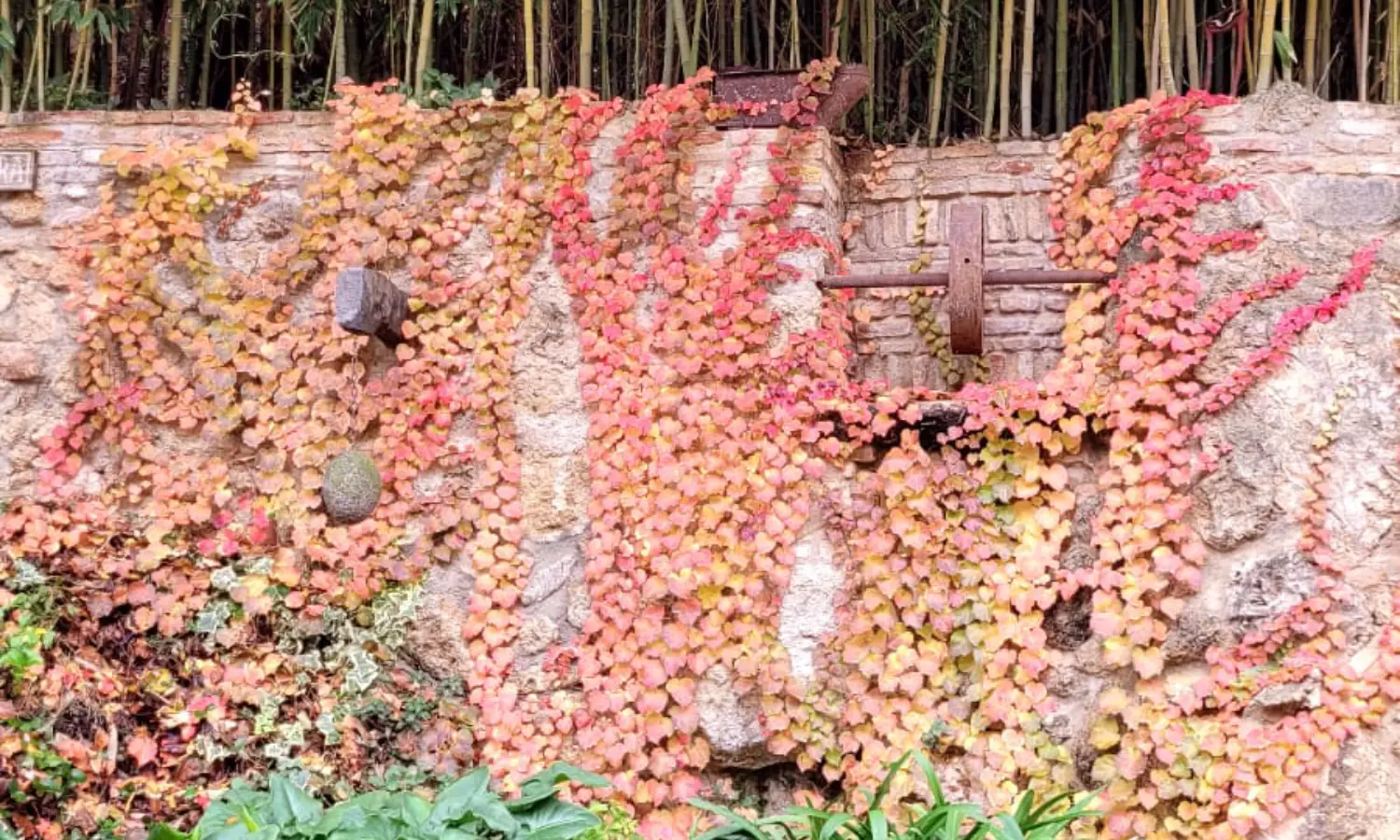 Ref031-Roes-cortijo-andaluz-Antequera#38