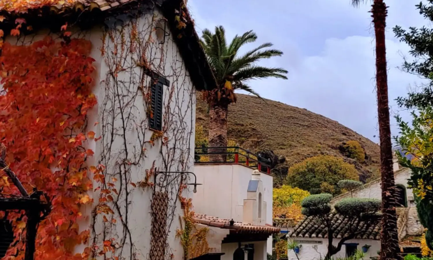 Ref031-Roes-cortijo-andaluz-Antequera#39