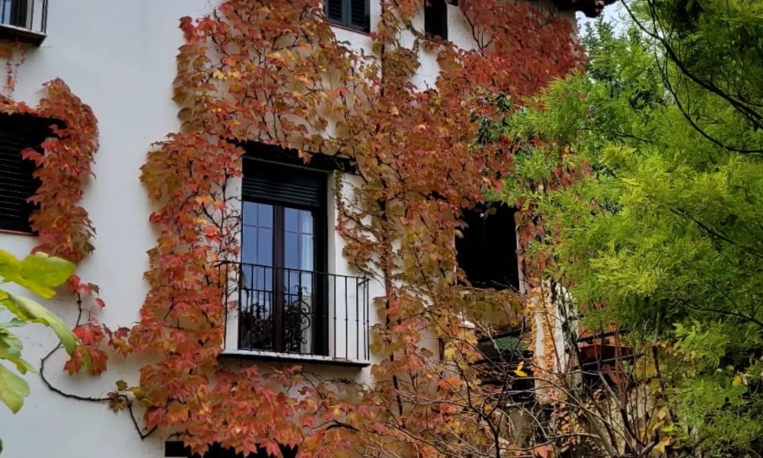 Ref031-Roes-cortijo-andaluz-Antequera#40