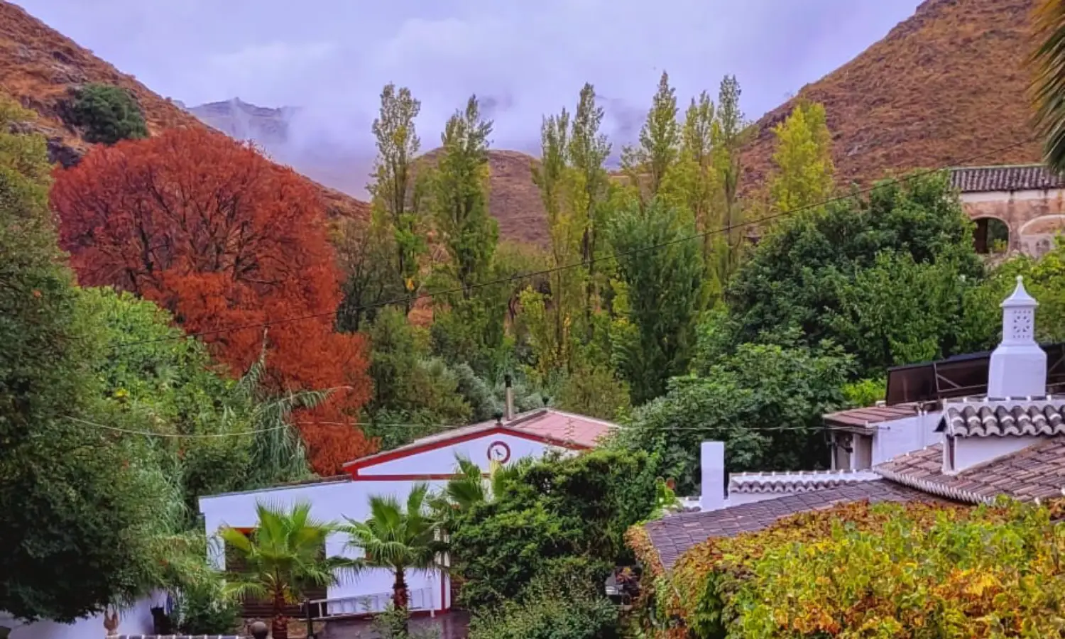 Ref031-Roes-cortijo-andaluz-Antequera#54