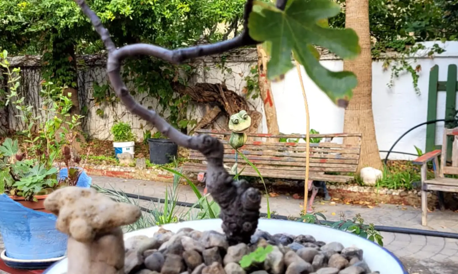 Ref031-Roes-cortijo-andaluz-Antequera#55