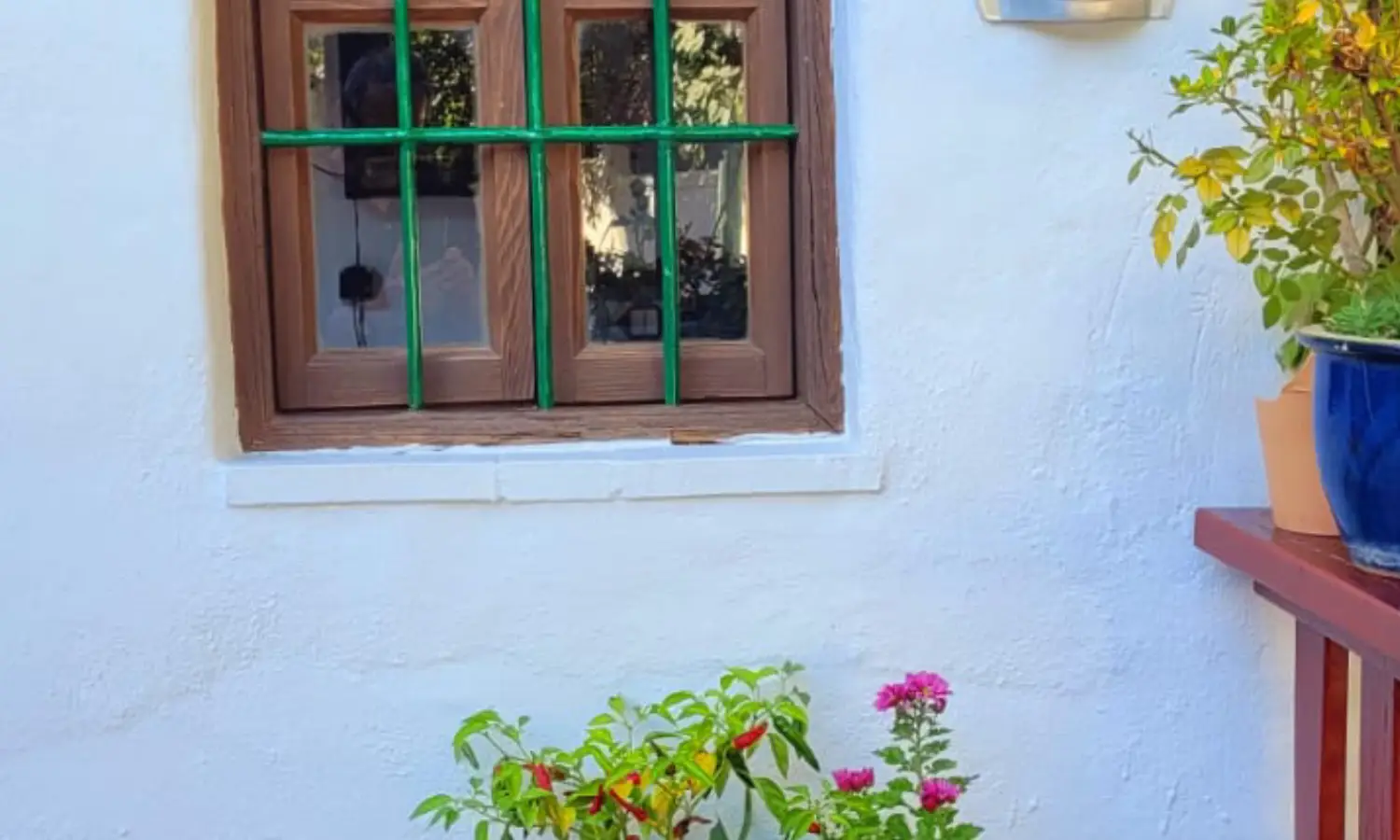 Ref031-Roes-cortijo-andaluz-Antequera#67