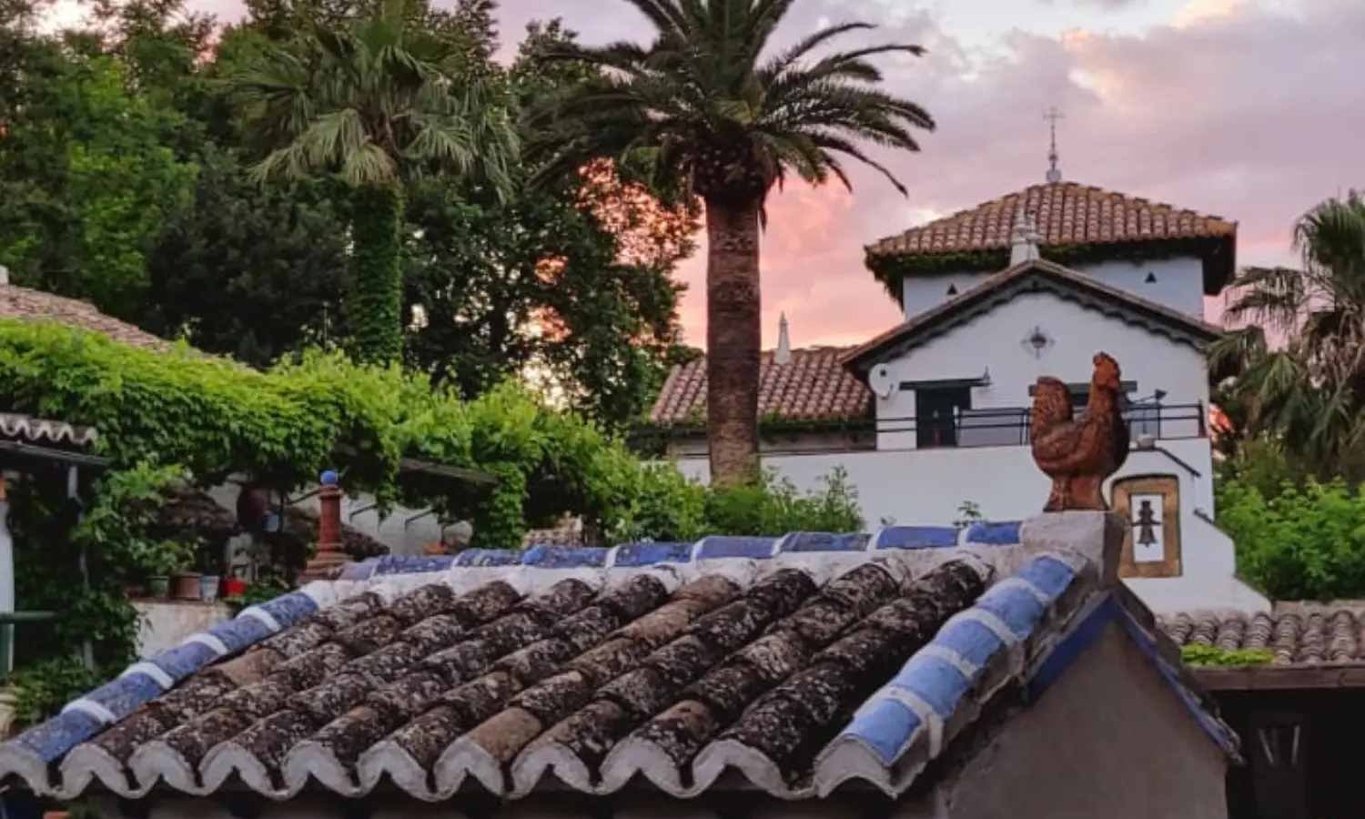 Ref031-Roes-cortijo-andaluz-Antequera#86