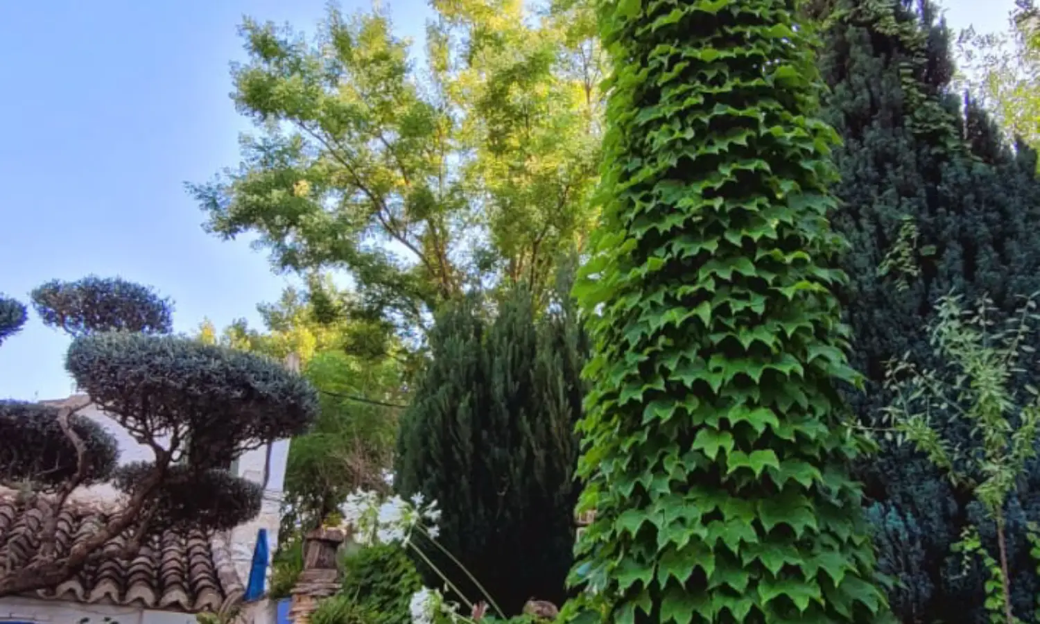 Ref031-Roes-cortijo-andaluz-Antequera#97