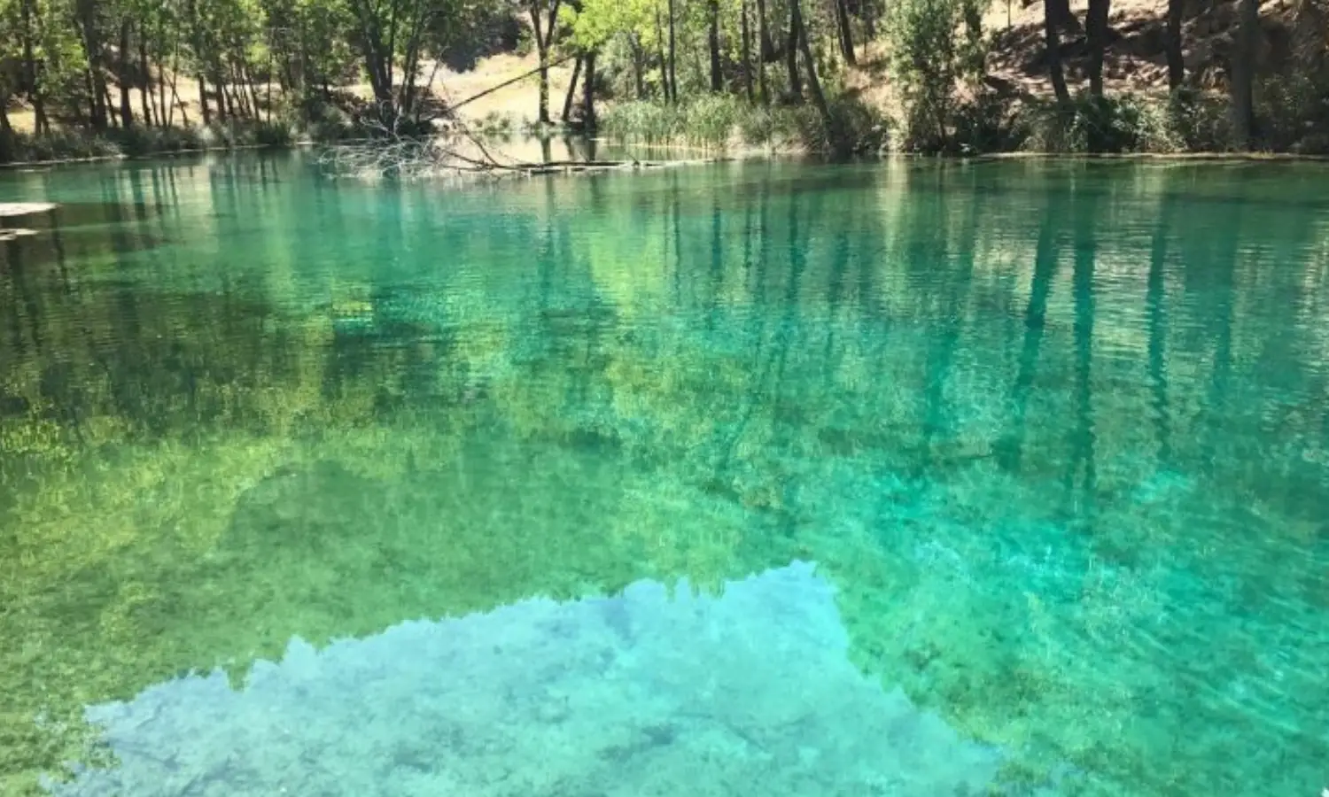 Ref064-Roes-parcelas-Riofrío#3