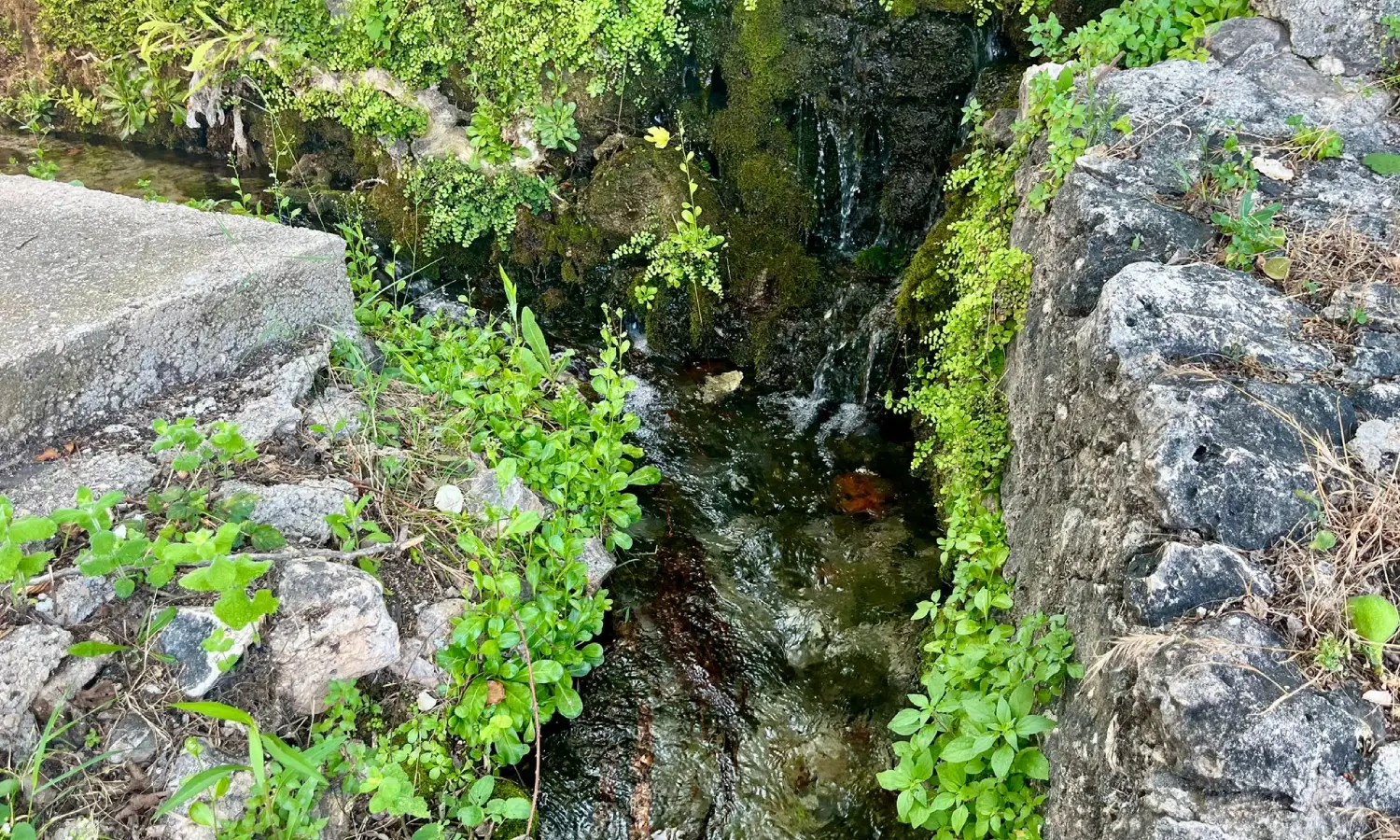 Ref065-Roes-restaurante-Loja#20