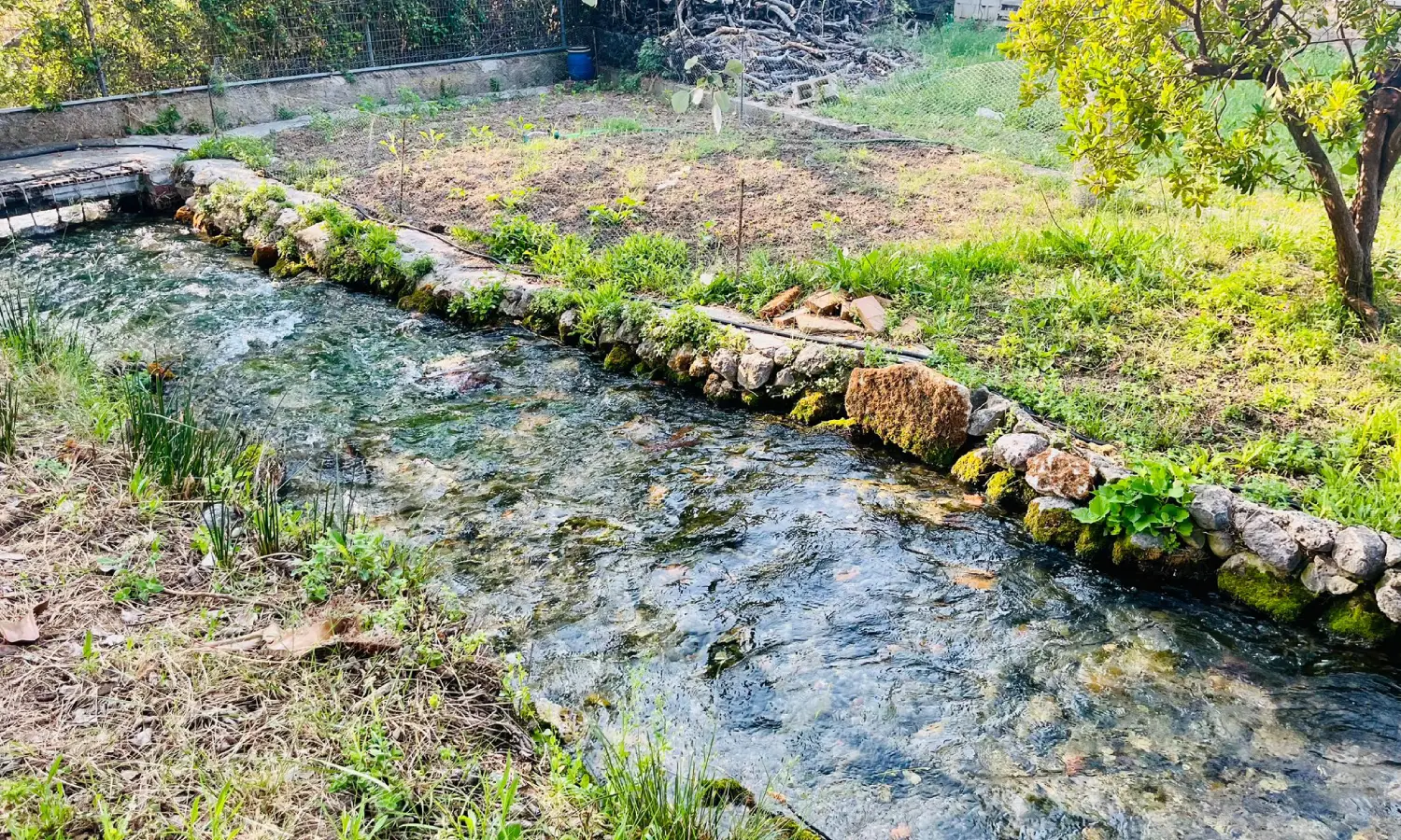 Ref065-Roes-restaurante-Loja#21