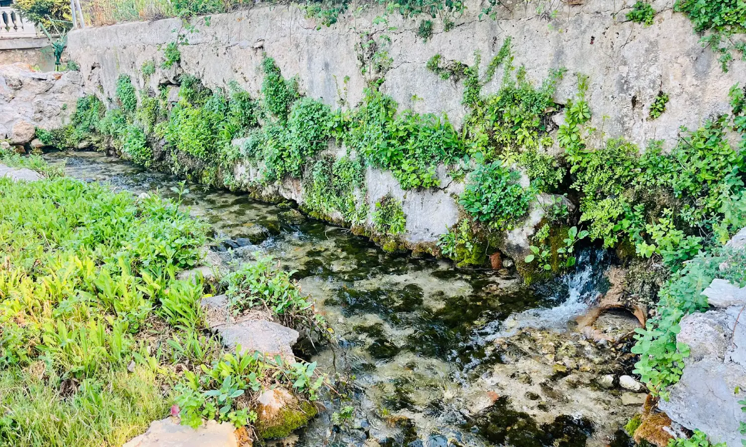 Ref065-Roes-restaurante-Loja#22