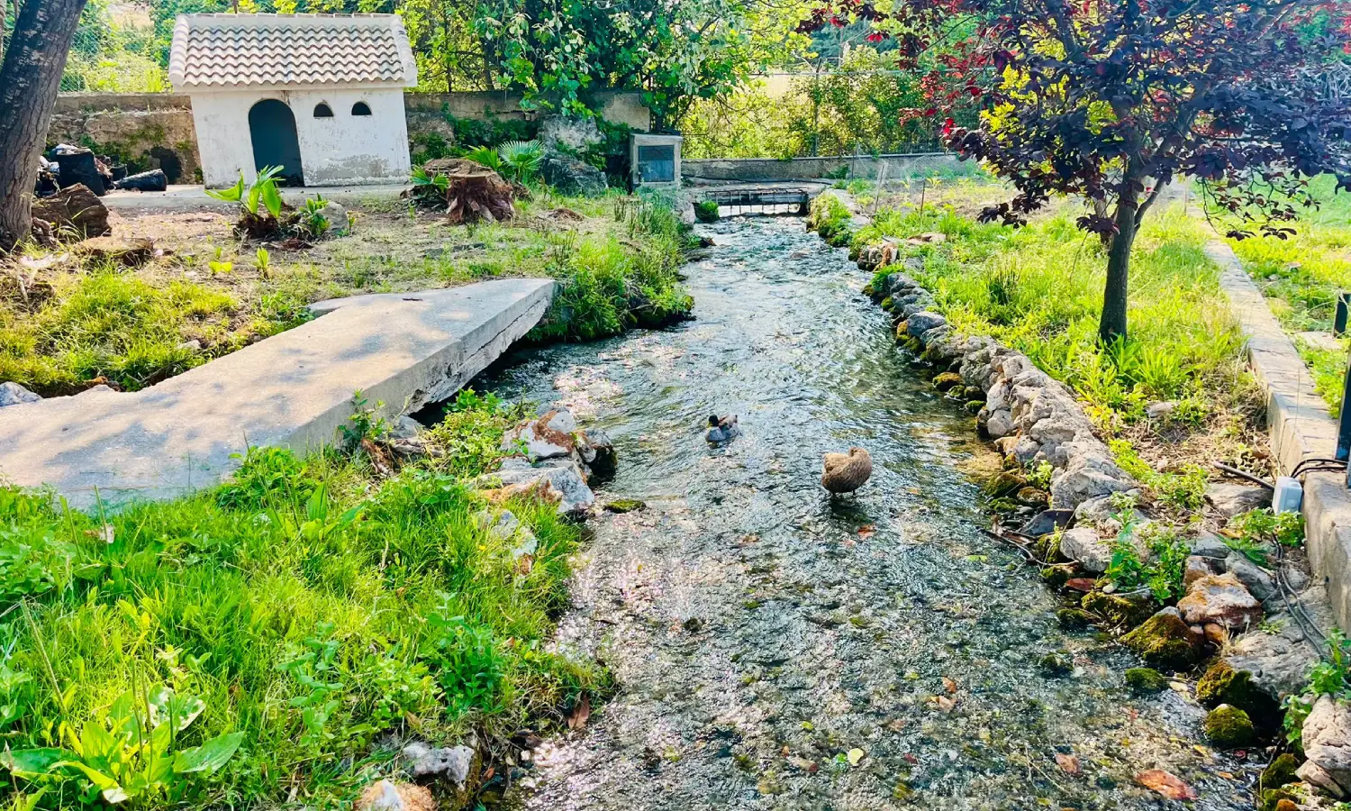 Ref065-Roes-restaurante-Loja#23