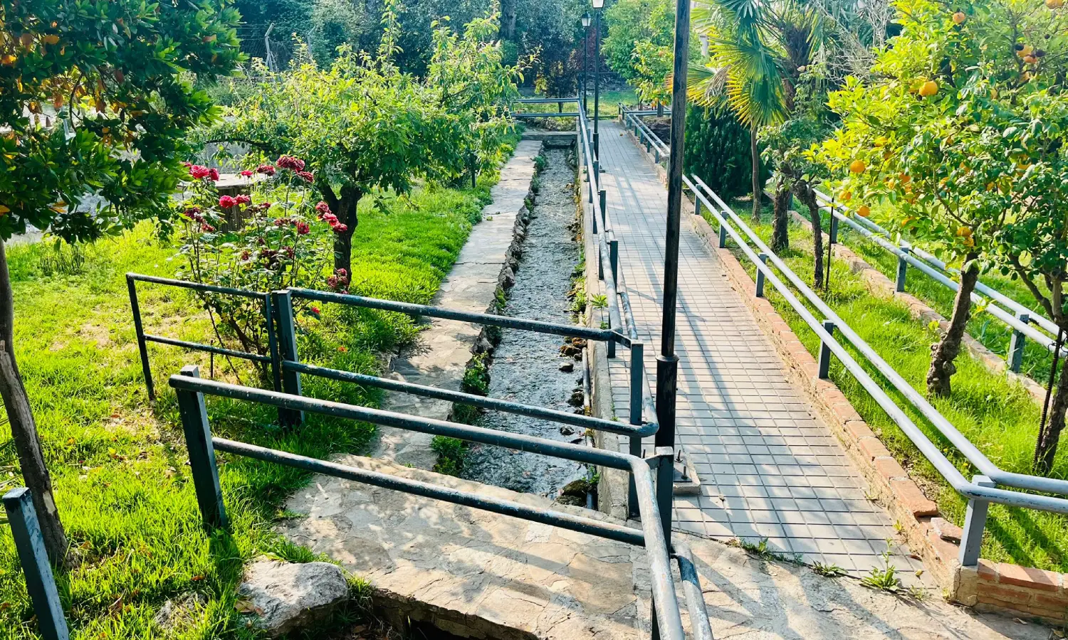 Ref065-Roes-restaurante-Loja#25