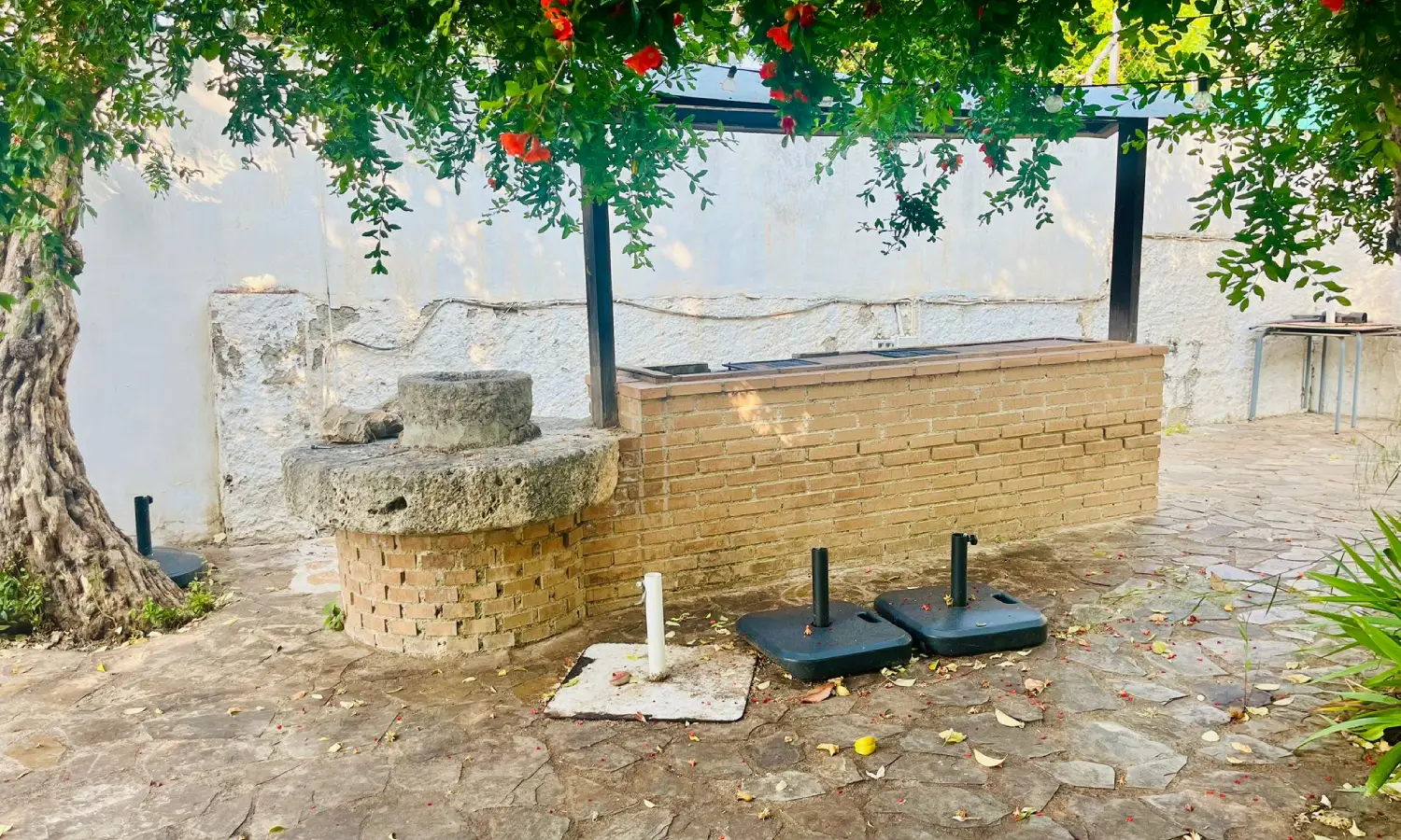 Ref065-Roes-restaurante-Loja#27