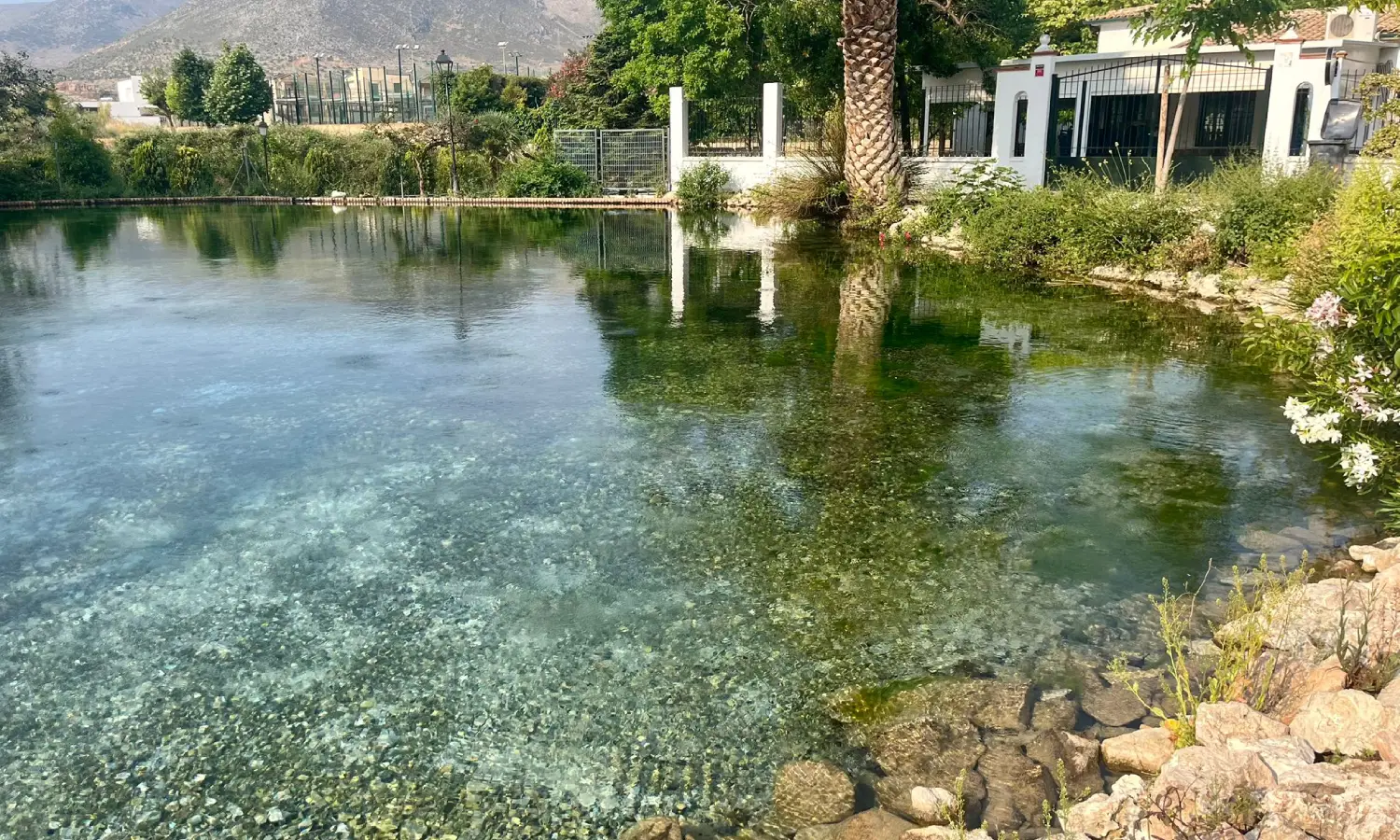 Ref065-Roes-restaurante-Loja#31