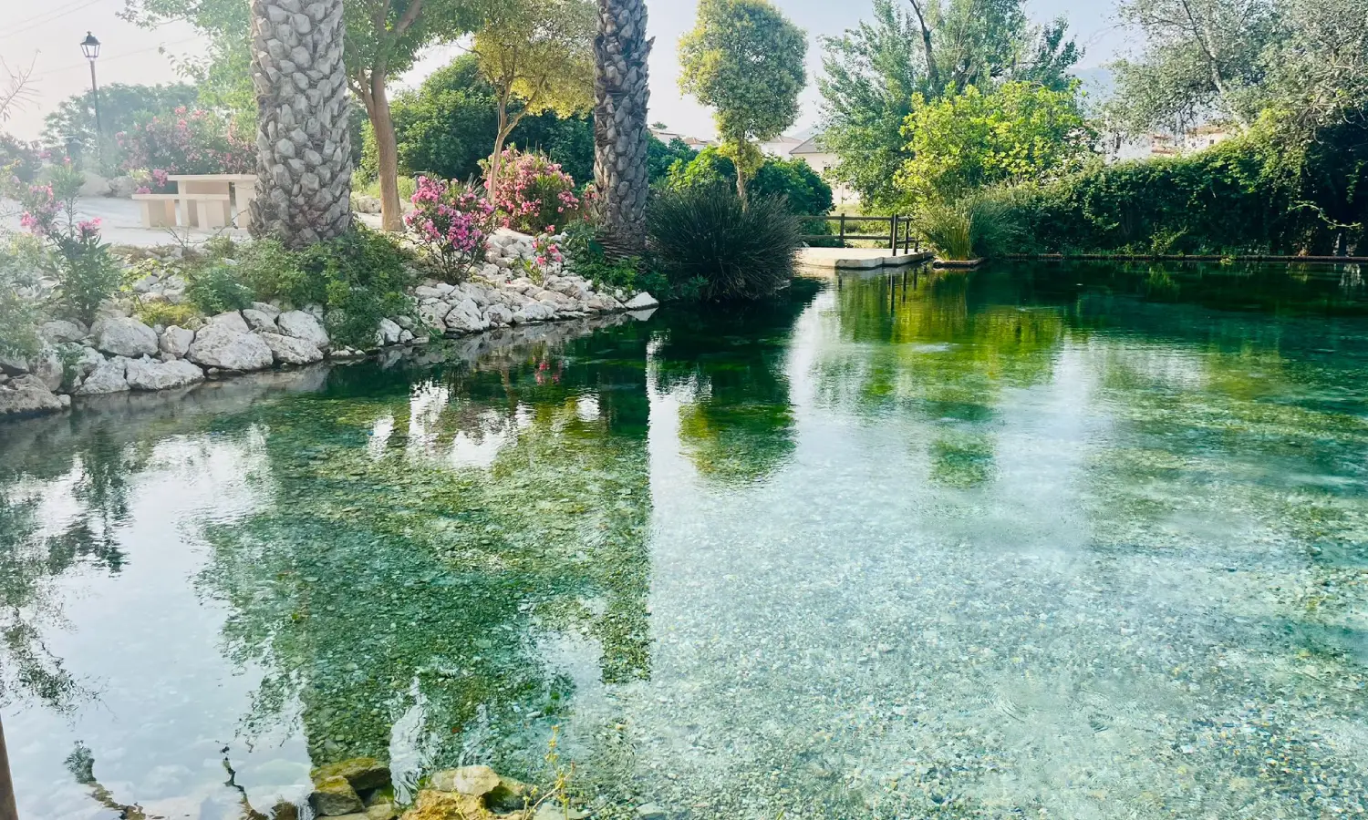 Ref065-Roes-restaurante-Loja#32