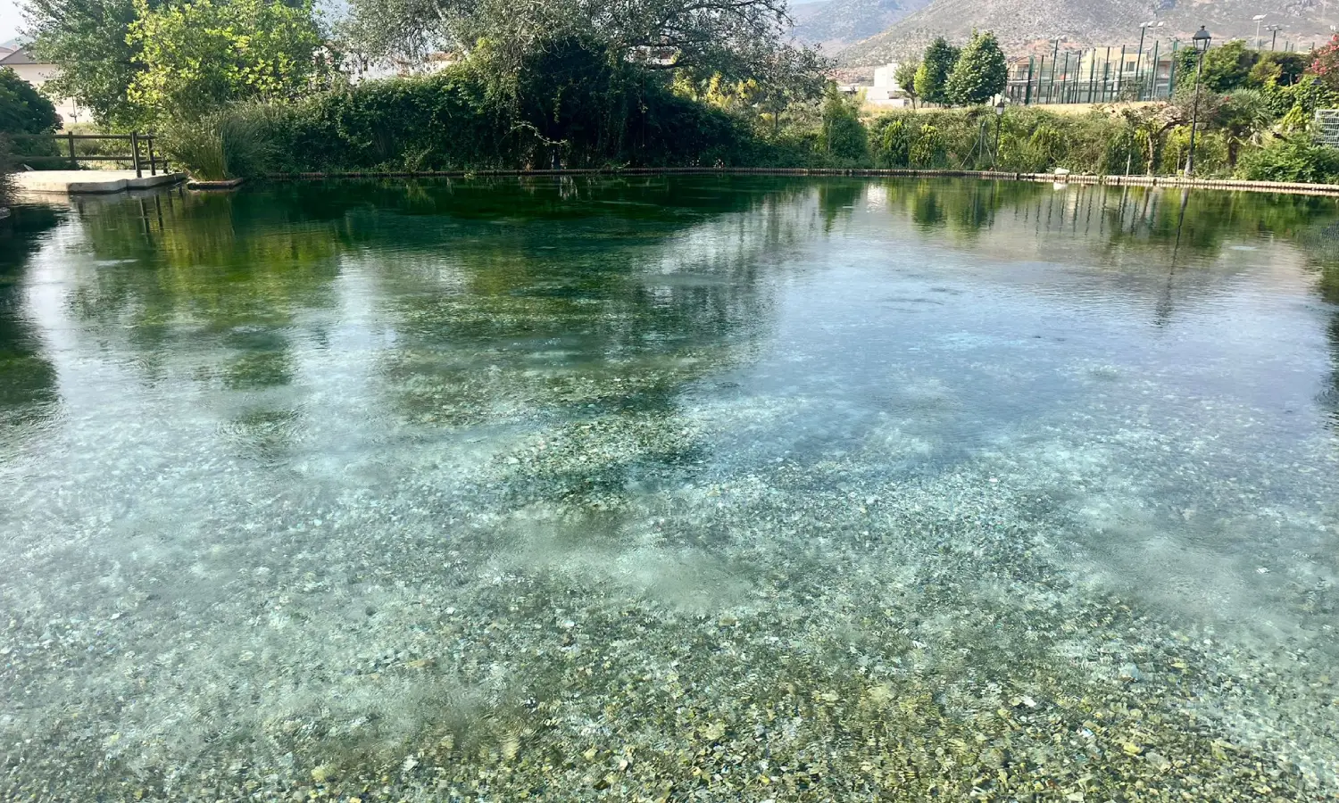 Ref065-Roes-restaurante-Loja#33