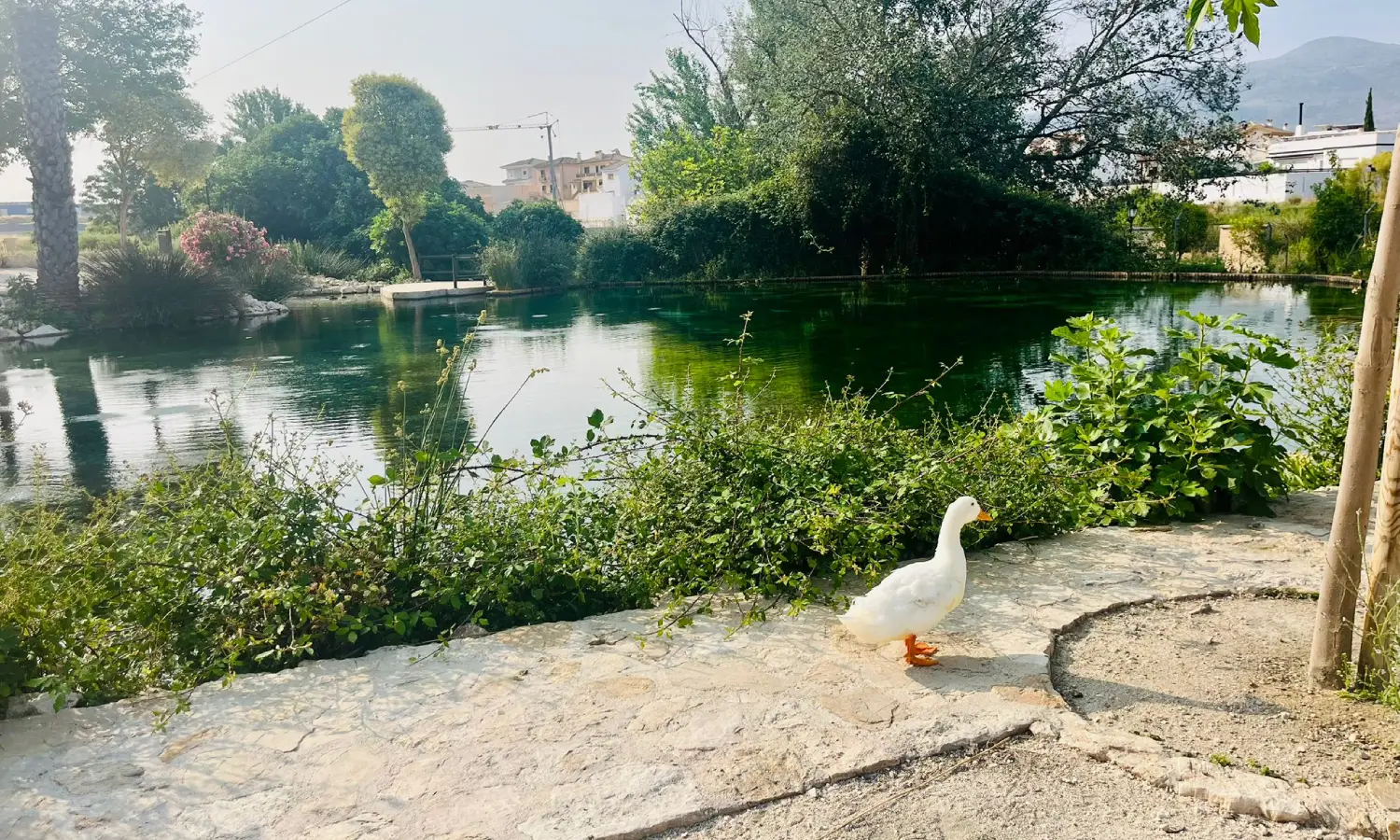 Ref065-Roes-restaurante-Loja#35