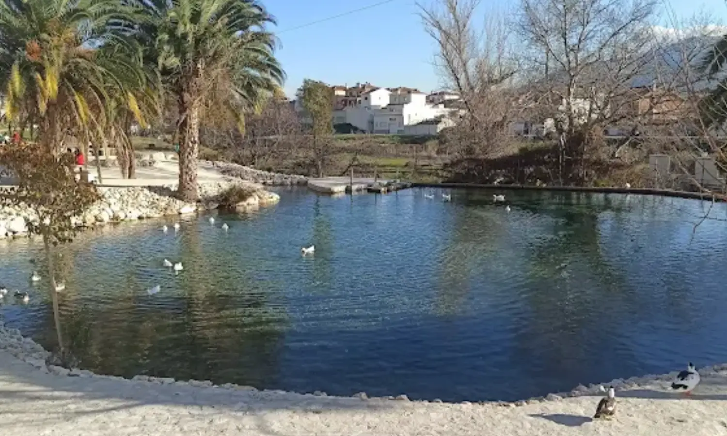 Ref065-Roes-restaurante-Loja#36