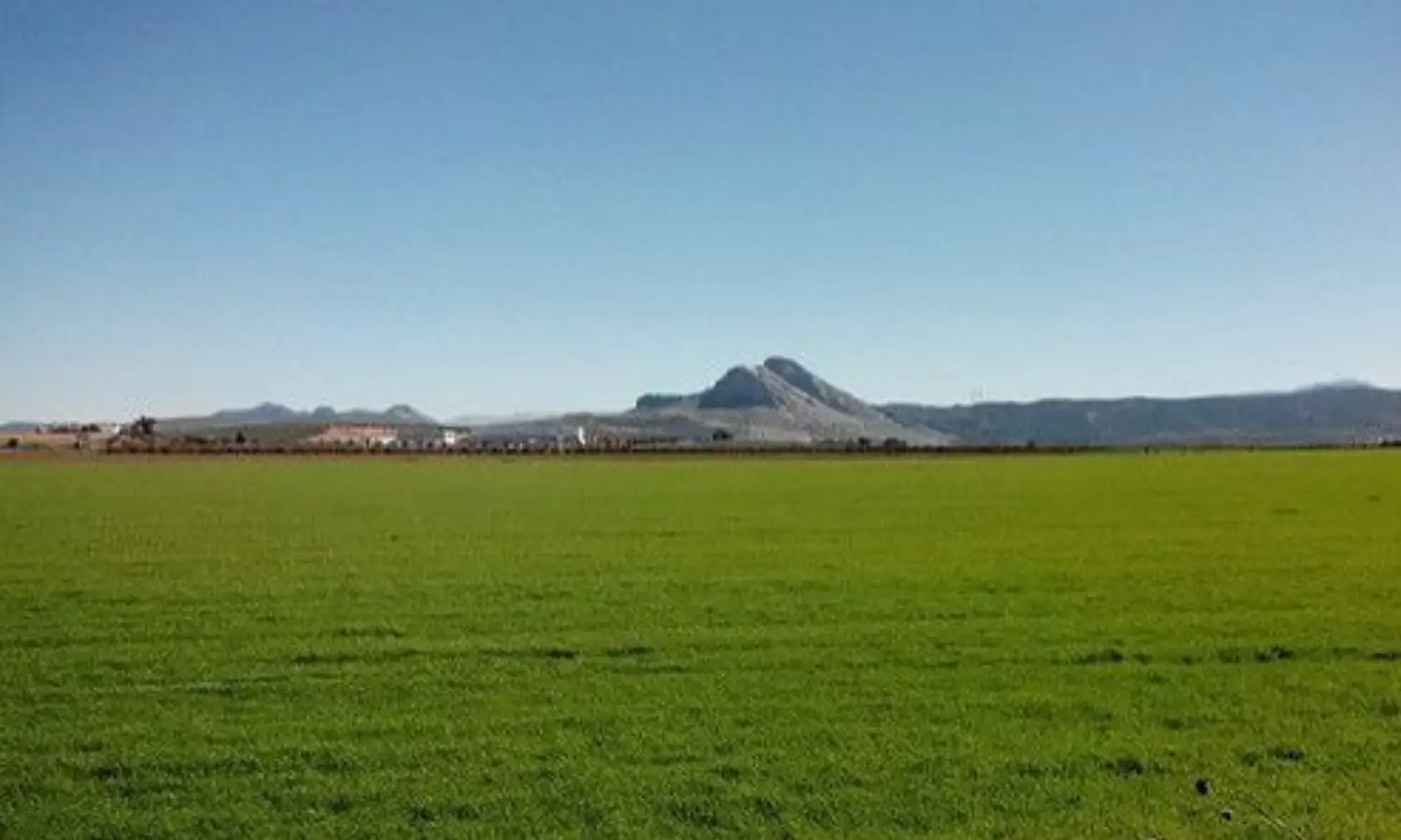 Ref0141-Terreno-Antequera#1